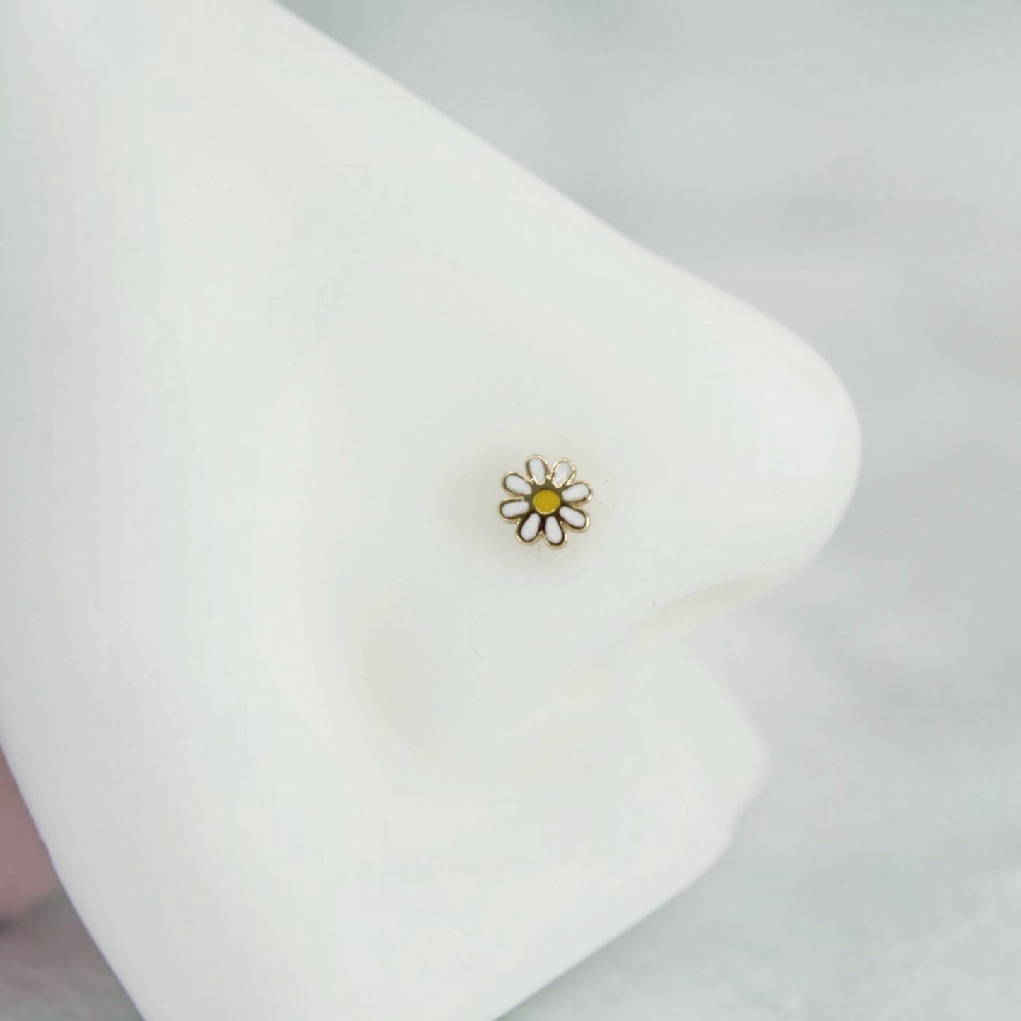 MKBodyJewelry 20g surgical steel daisy flower nose bone stud with white and yellow enamel on a white nose model
